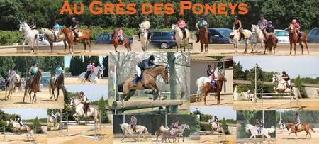 au-gr7s-des-poneys.jpg